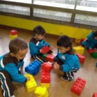 programas-7 programas-7